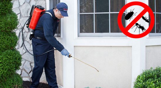 Akçakale Fare İlaçlama böcek ilaçlama ve haşere kontrolü — ilaclama-tr.com